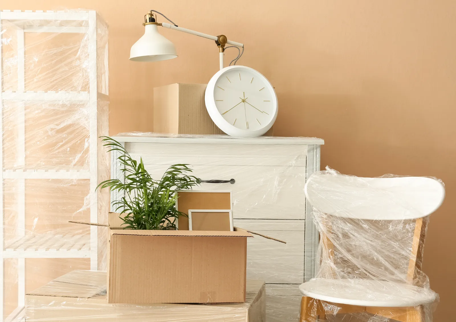 Verpackte Möbel, Pflanze und Umzugskartons in einem hellen Zimmer